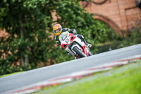 PJ-Motorsport-2019;anglesey;brands-hatch;cadwell-park;croft;donington-park;enduro-digital-images;event-digital-images;eventdigitalimages;mallory;no-limits;oulton-park;peter-wileman-photography;racing-digital-images;silverstone;snetterton;trackday-digital-images;trackday-photos;vmcc-banbury-run;welsh-2-day-enduro